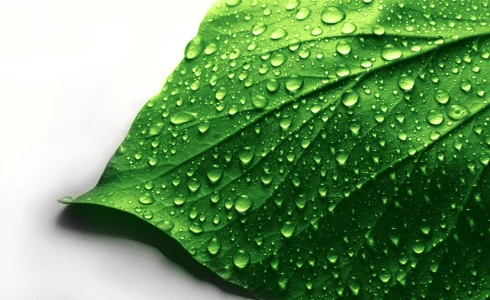 環境への取組み